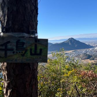 千鳥山からの金華山
