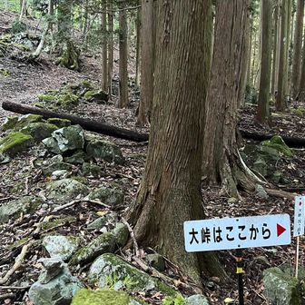 🈁を左側に進みます↖️
右側は大峠。清水ノ頭や南雨乞岳経由して雨乞岳に登る時は↗️