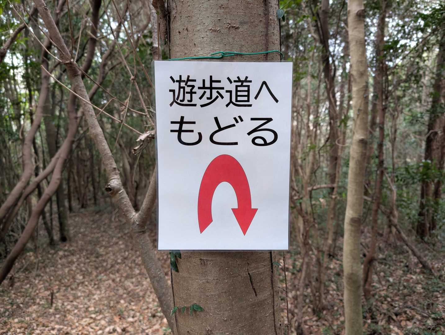 柴山古墳群入口-柴山 往復コースの写真