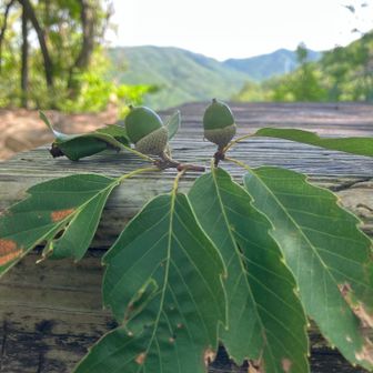 天気も良く今日は登山日和でした😊