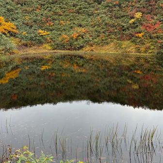 産沼💙