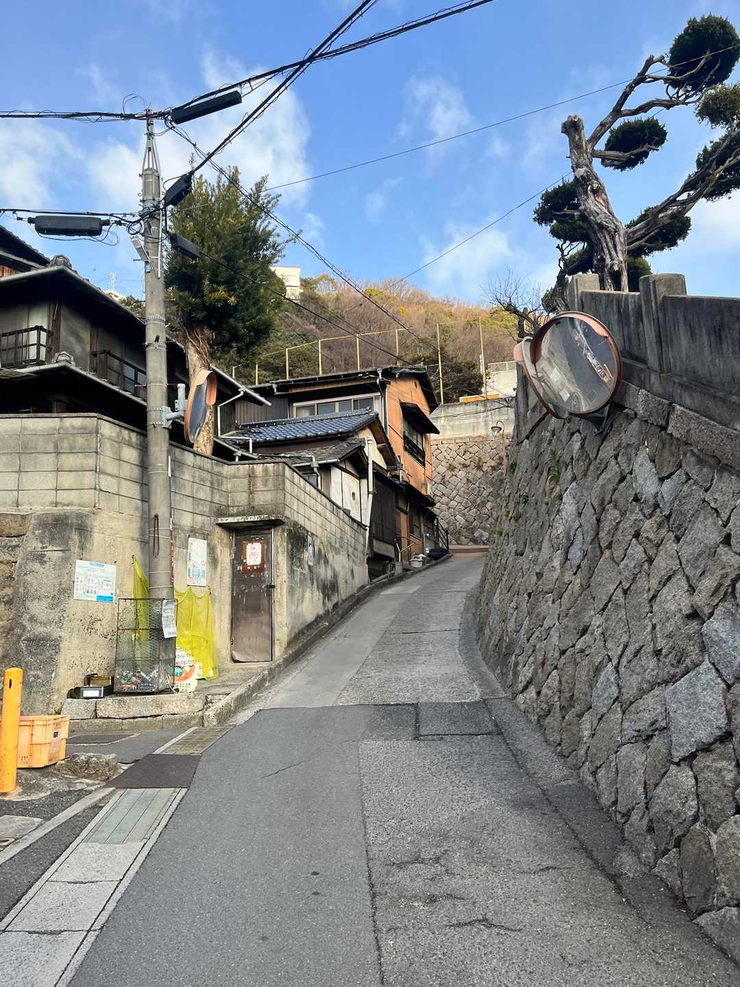 目覚めの坂登り👀