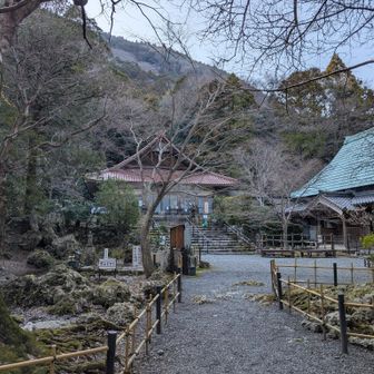 庭園を見学しよう