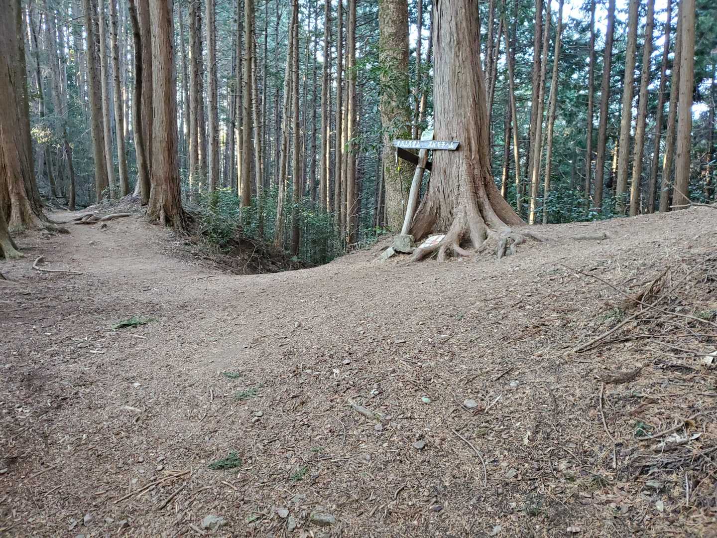 初めて３ヶ所に別れ道。左へ