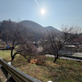 バス停から暫くは舗装路...というか住宅の横を上がっていきます。