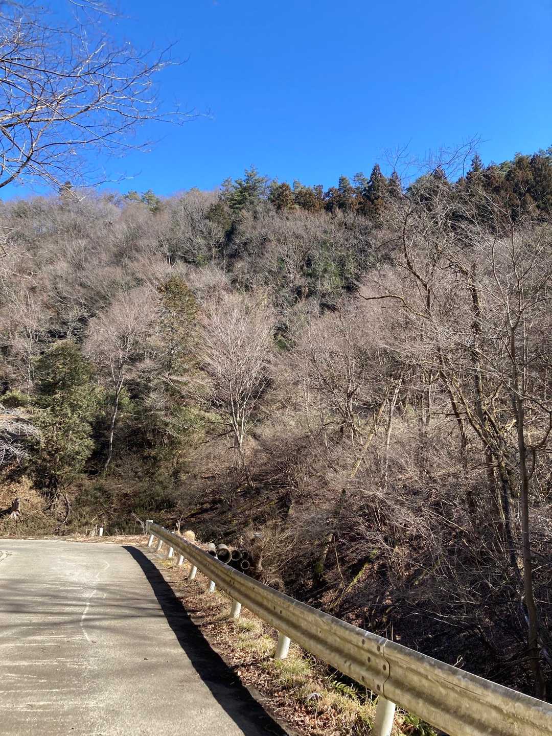 足元気にせず歩けるから、最近ちょっと好きになりつつある舗装路😀