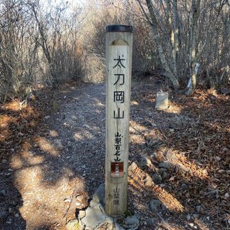 そこからもう少し登って太刀岡山！