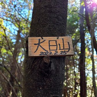 大日山
ここルート不明瞭
女性も取付きに迷っていた