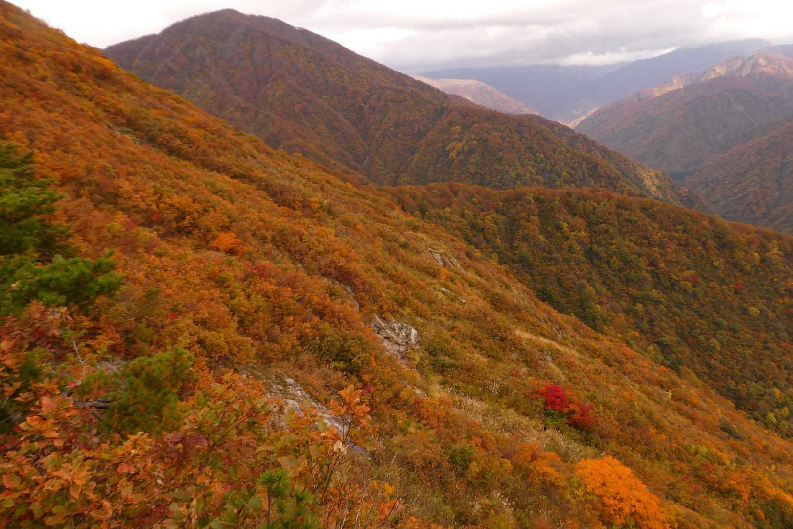 焼峰山（加治川治水ダム登山口）の写真