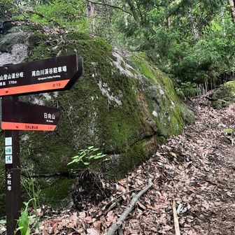 日向山へGO‼️