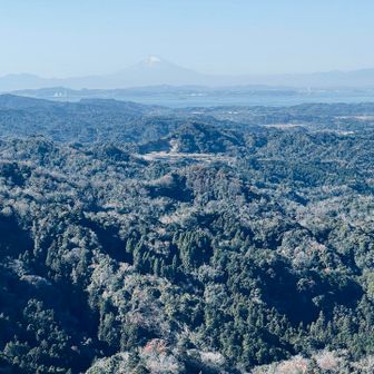 山頂の絶景、千葉からも見れる富士山🗻のでかさに感動🥹