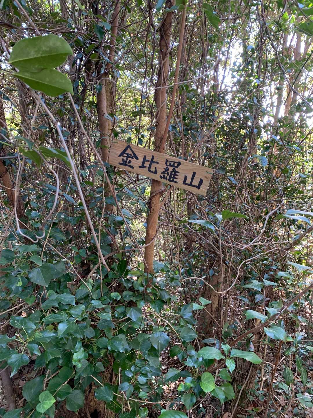 同じ山頂に二つ標識が。