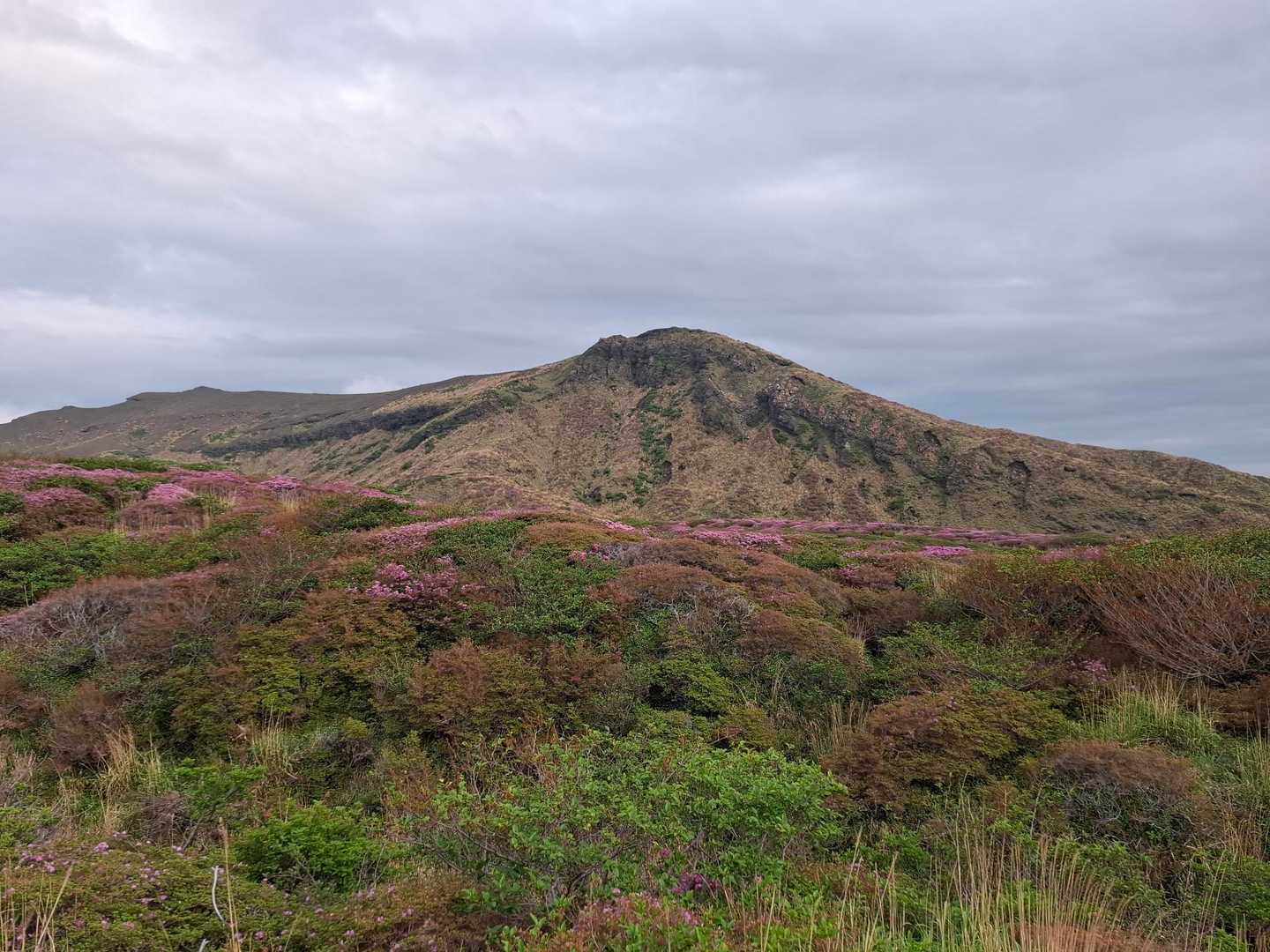 皿山 往復コースの写真