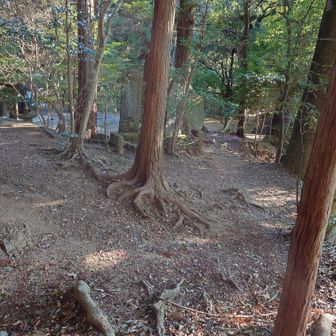 何か見えてきました。
宮尾神社かな。