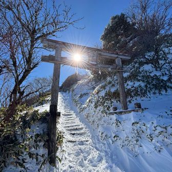 鳥居が神々しい