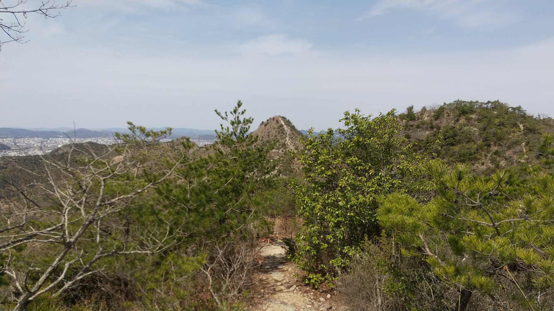 桶居山、見えた