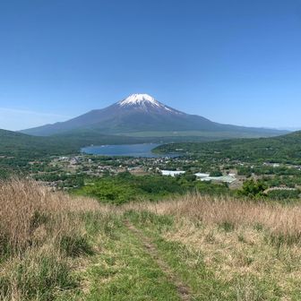 なまけぎつね