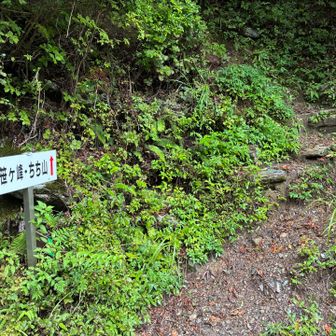 登山道