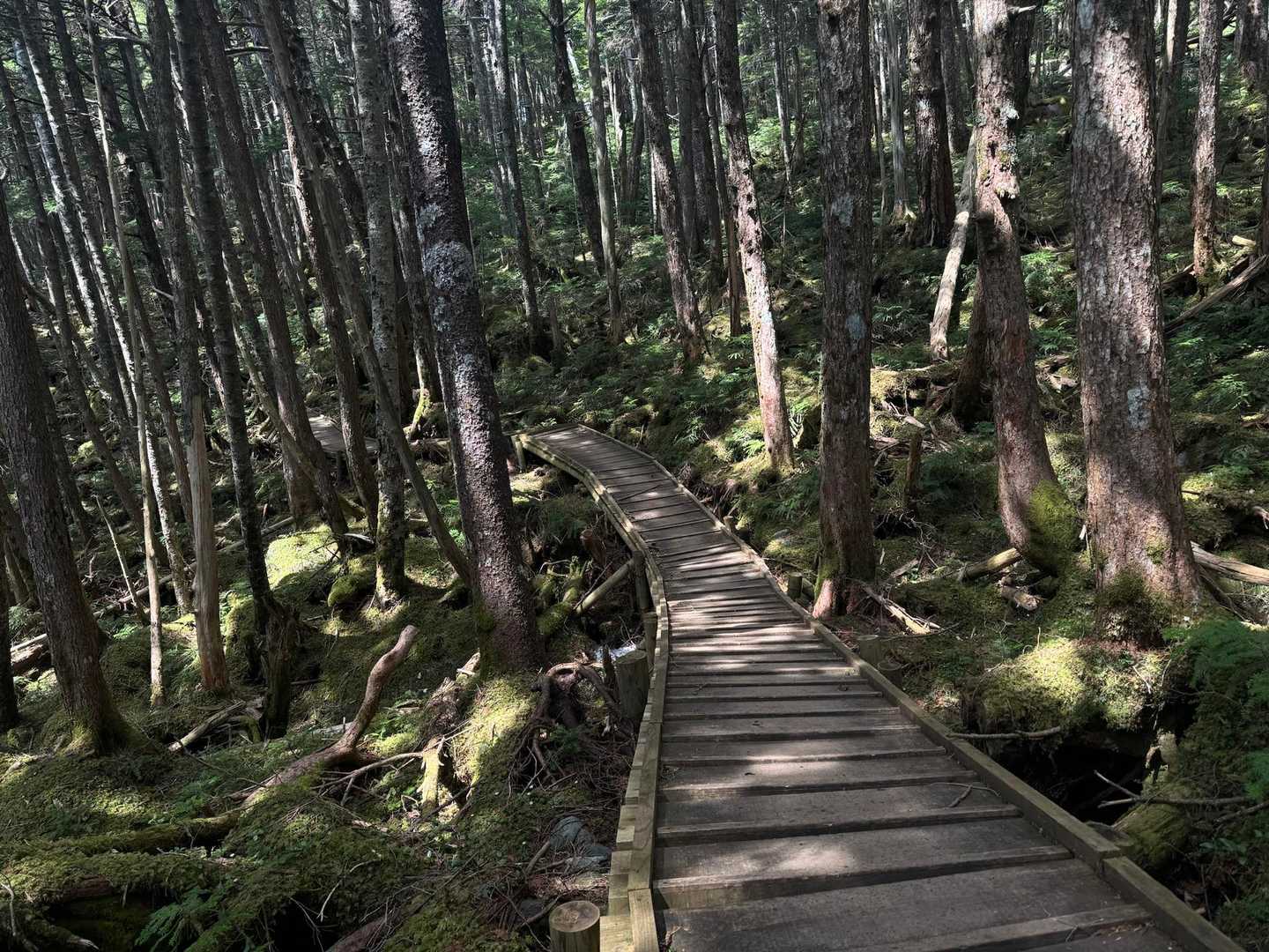 この雰囲気好きすぎる