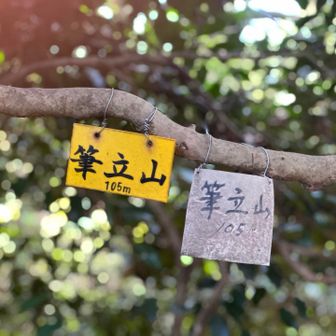 グレーピーク🩶
眺望なしー。