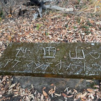 さすが、仕事が早い👍