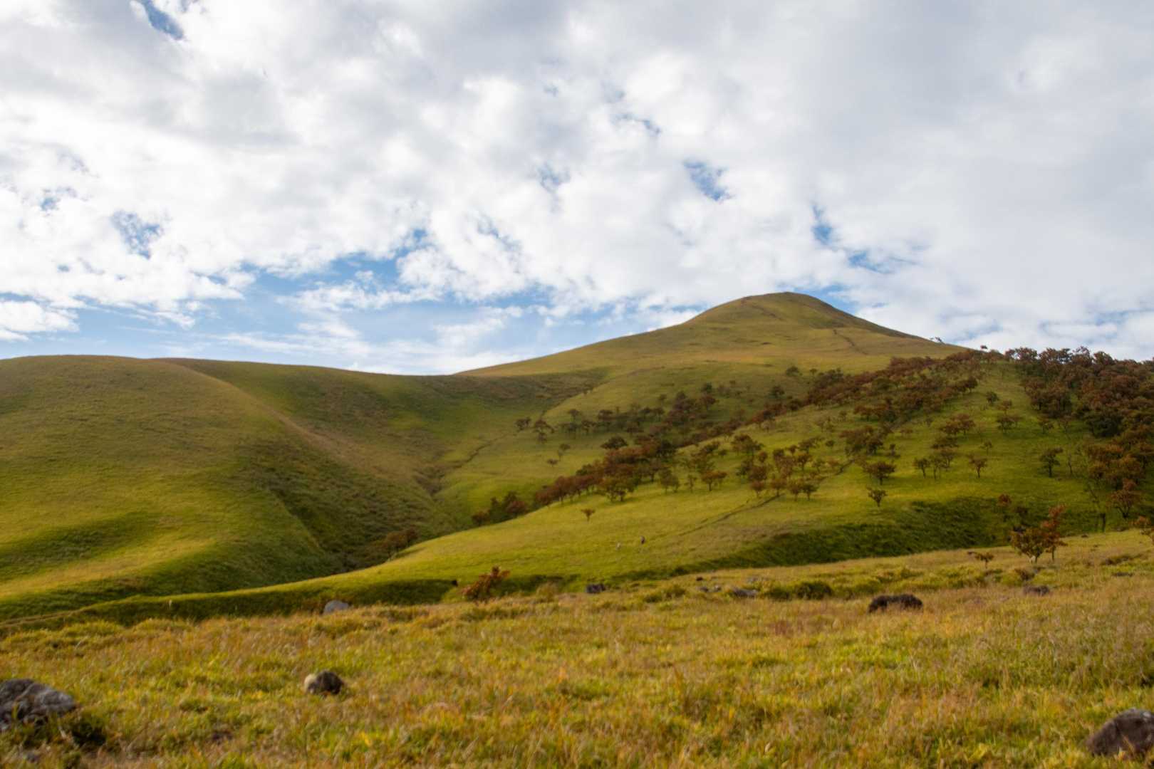 由布登山口バス停-正面登山口-日向岳 往復コースの写真