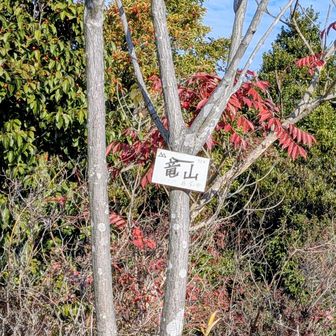 ここにも山頂プレートが😅