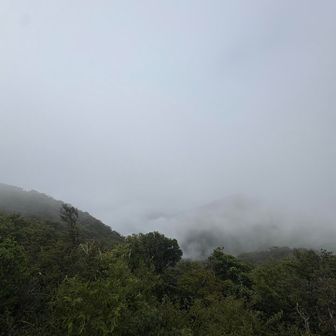 もっくもく