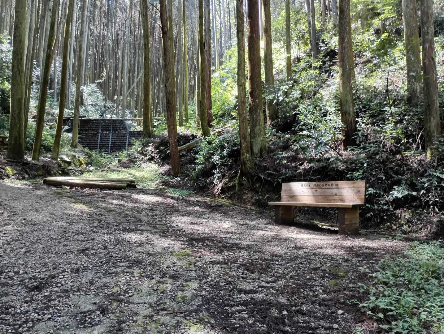 槇尾山公園口の林道終点広場。