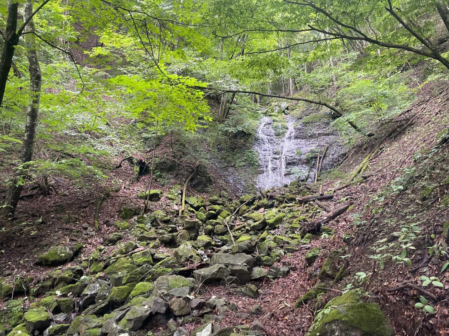 諏訪山楢原登山口-大江権現堂-ヤツウチグラ-諏訪山 往復コースの写真