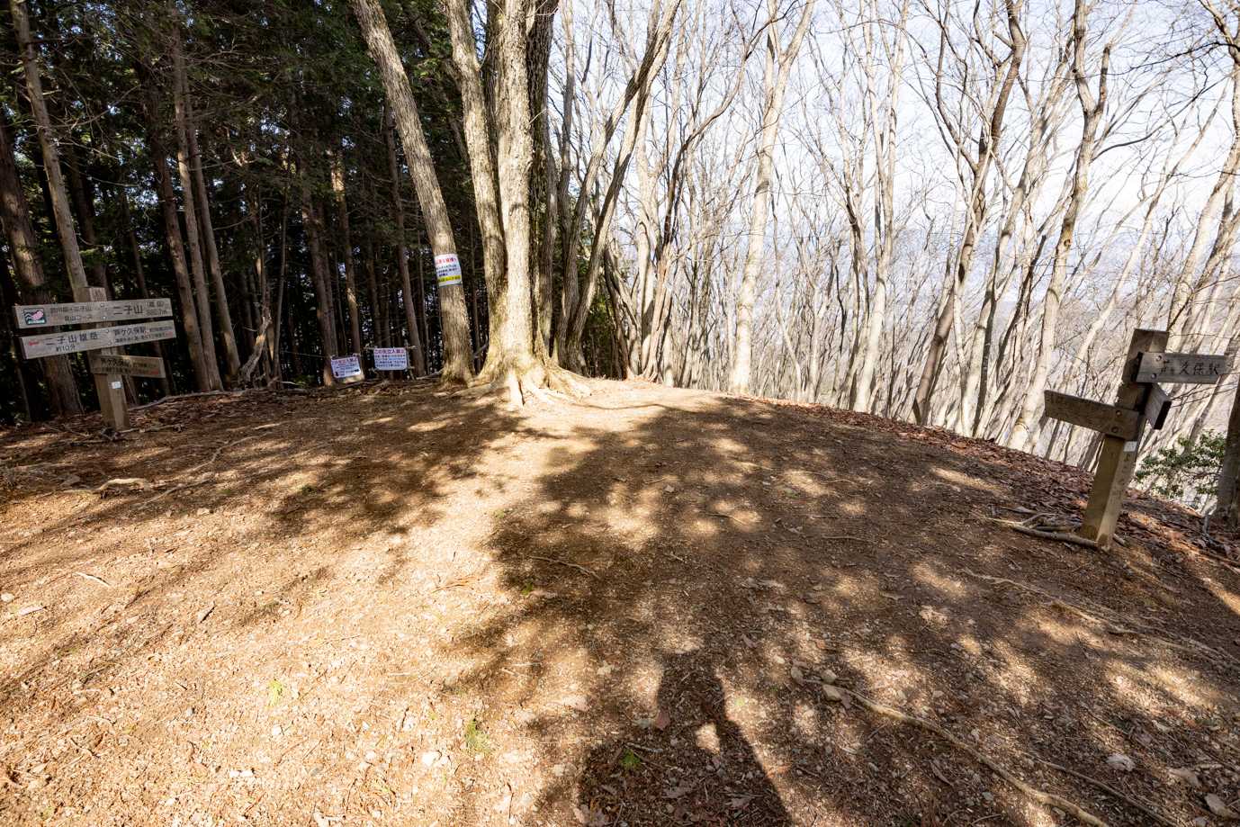 急登が終わった直後に二子山雌岳山頂
