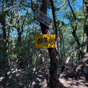 やっと見つけた、ミアレヤマ