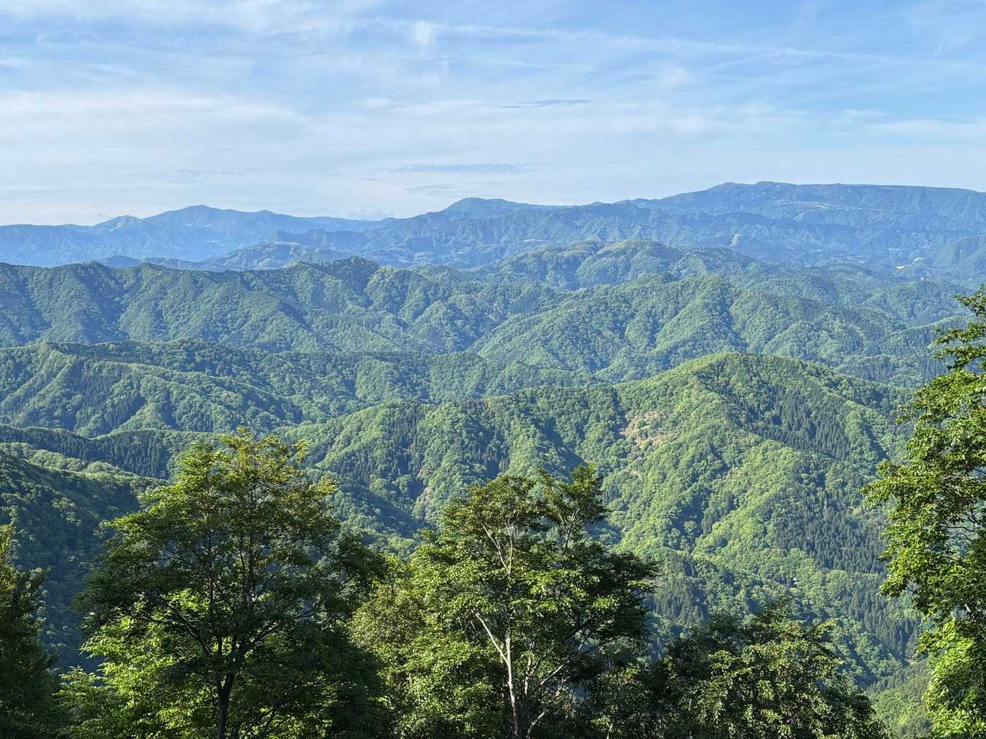 南から西に広い展望。
左から『鉢伏山』『扇ノ山』『牛ヶ峰山』