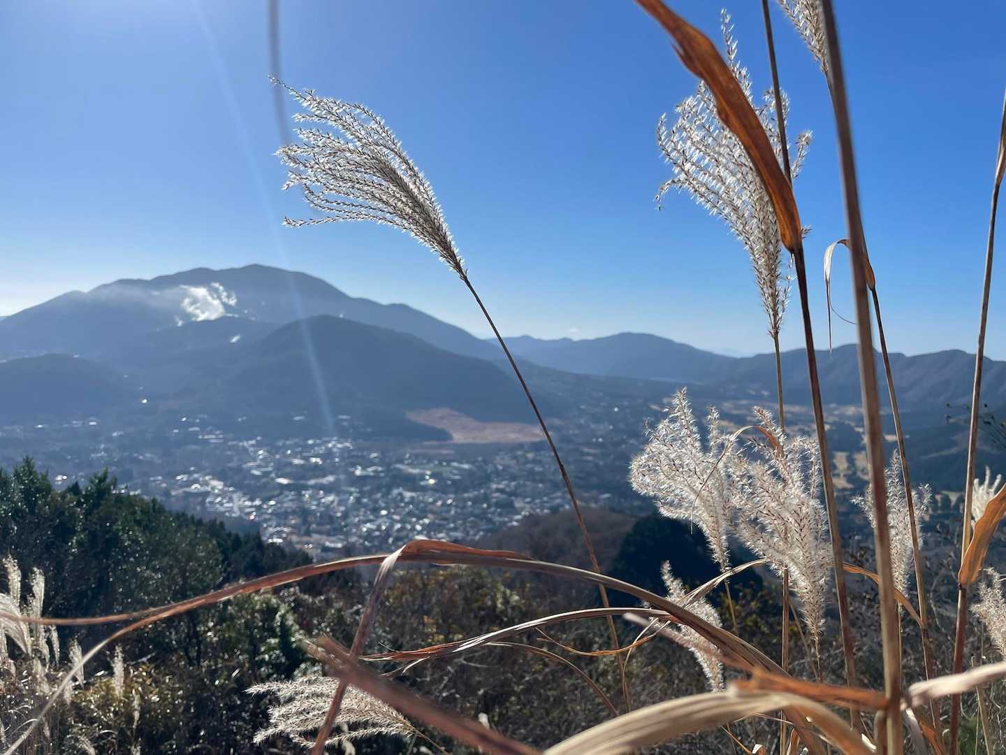 仙石原のススキ🌾も下に見える