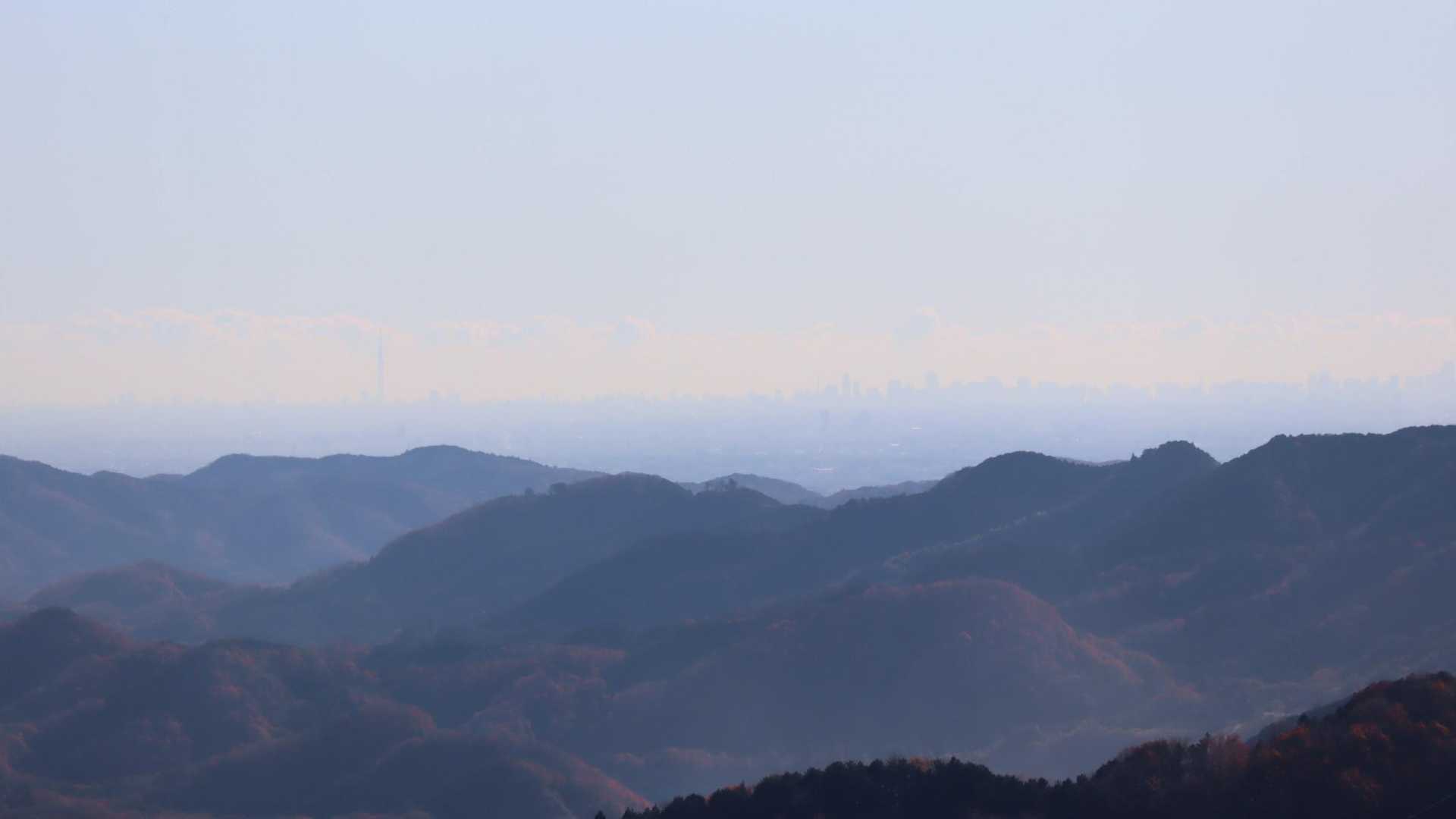 遠くに都心、画面左側にはスカイツリーも