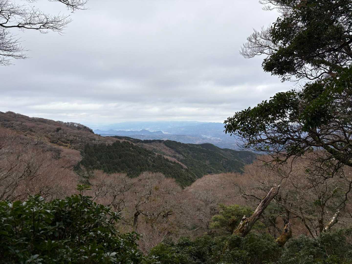 ここも景色は隙間から💦