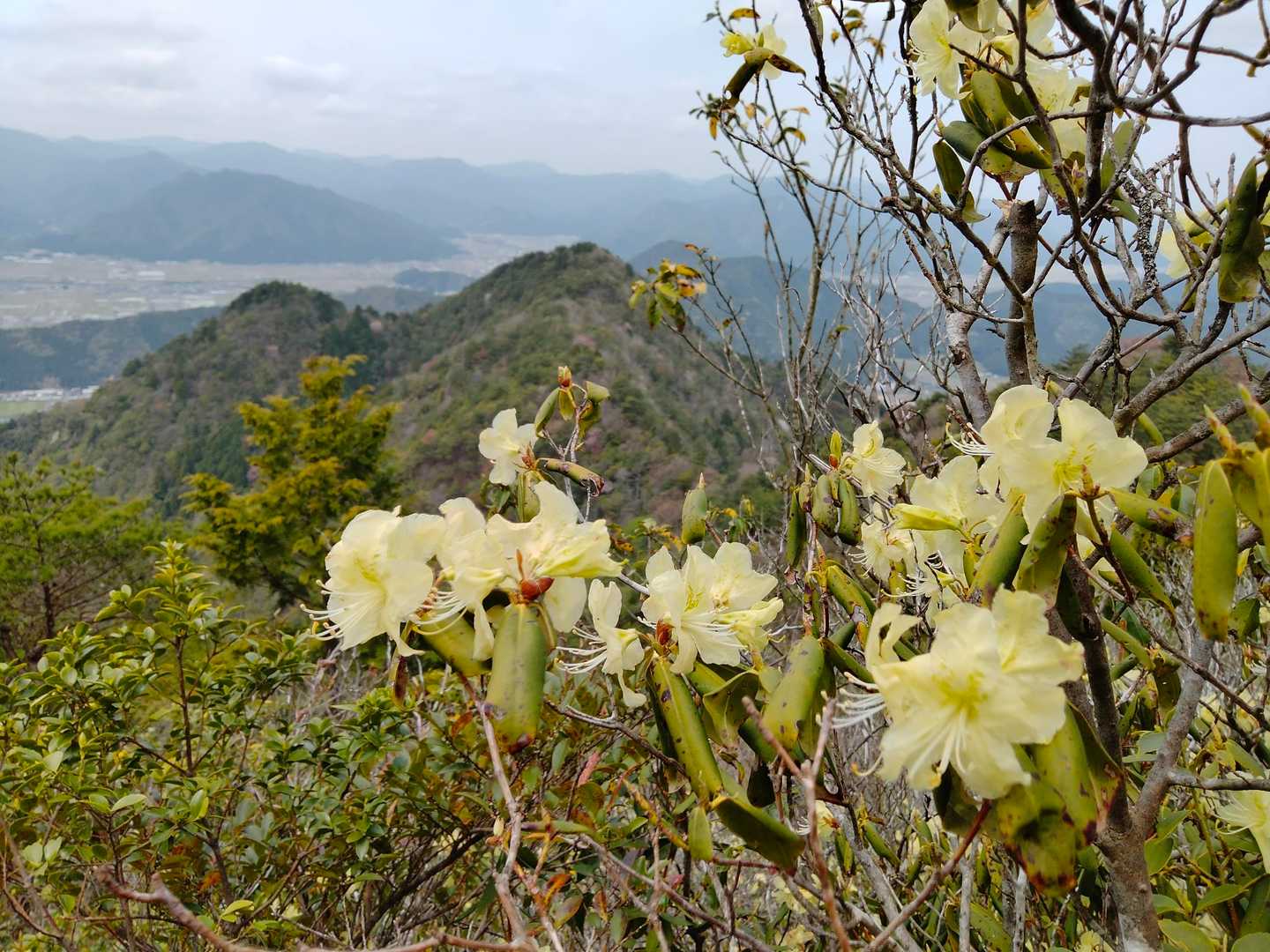 向山連山（ニの山・三の山・四の山・深坂北峰・向山・五の山・蛙子峰