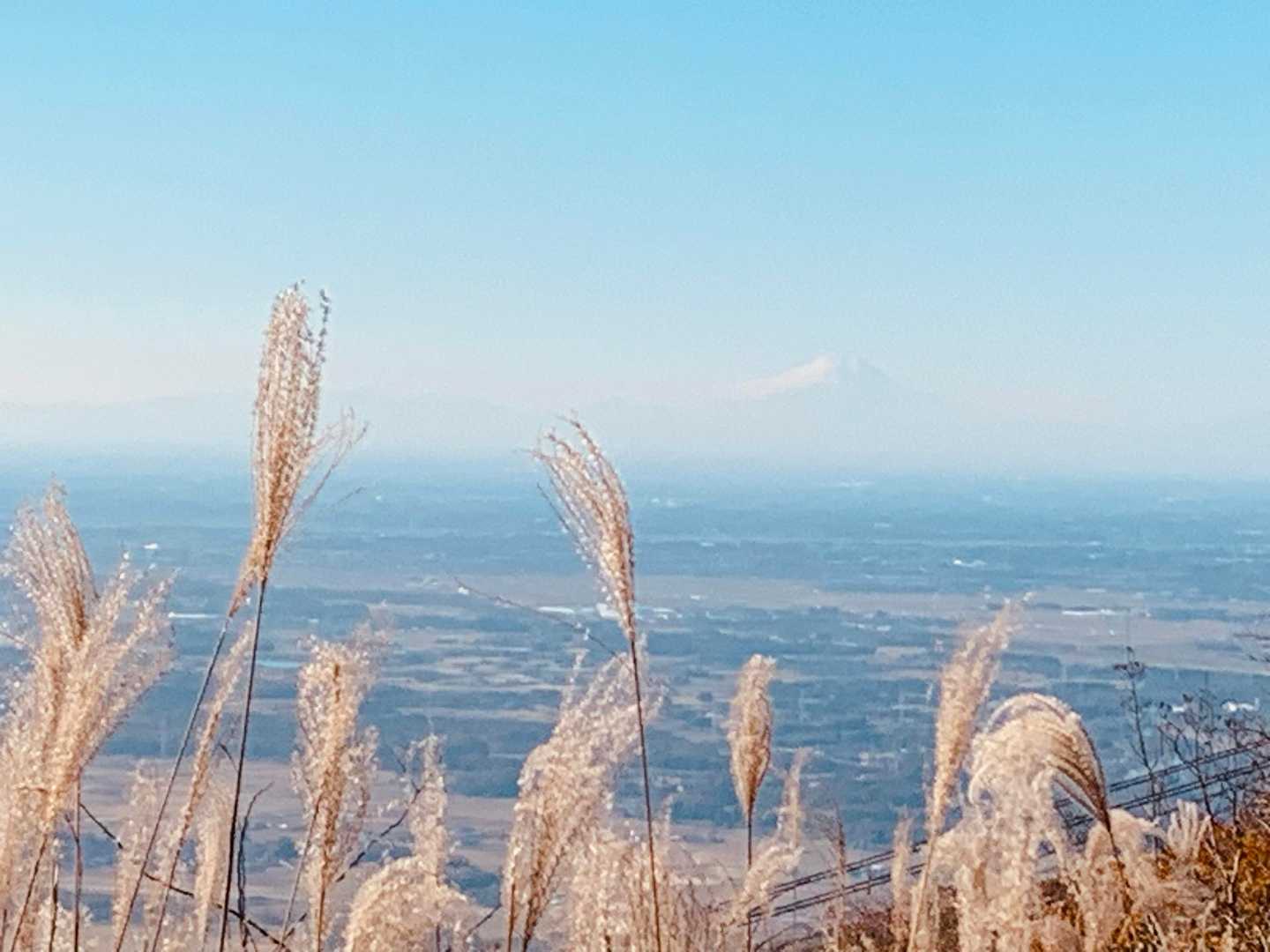 すすきの向こうにうっすら富士山🤗