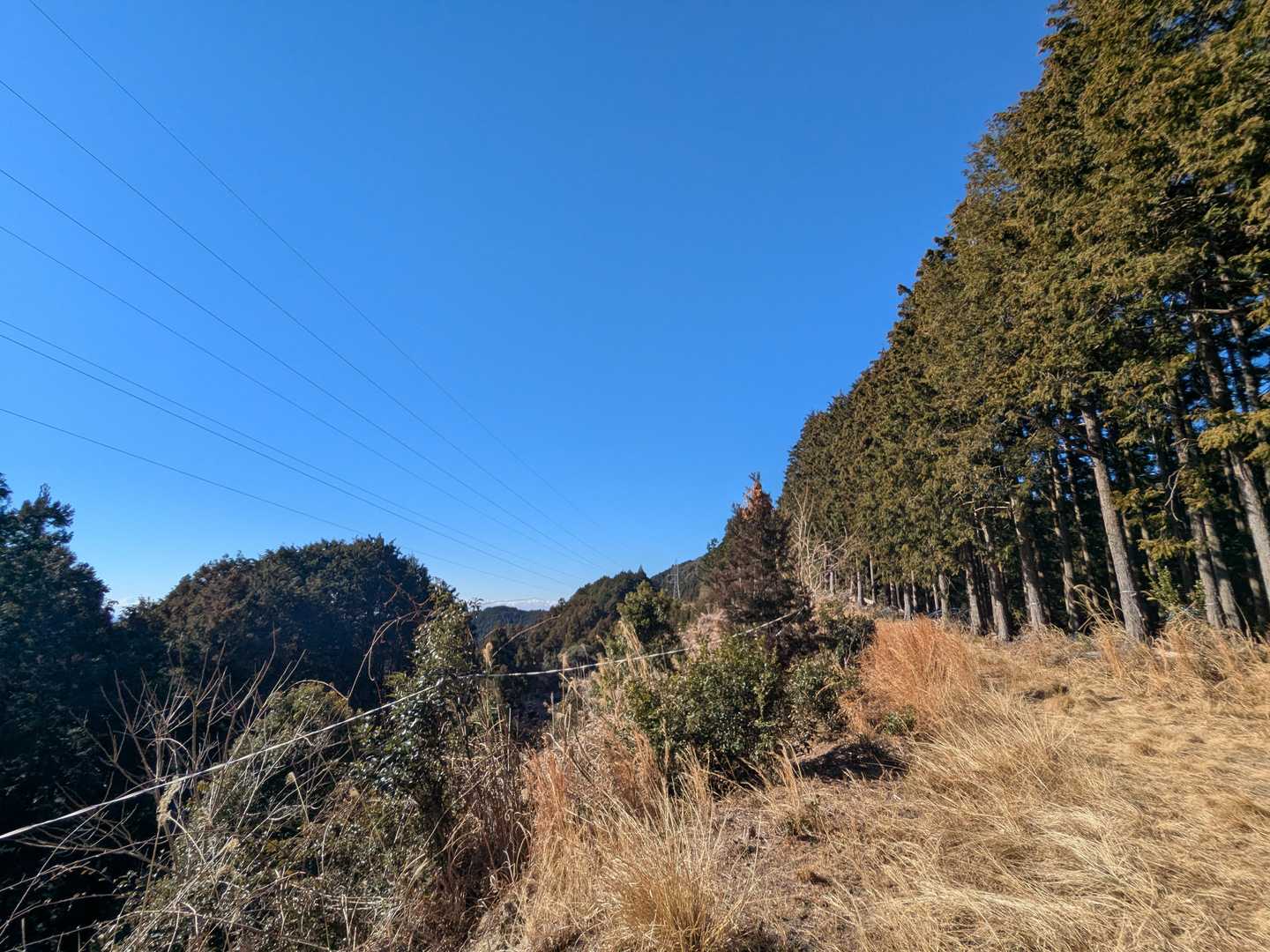 良いお天気です。
