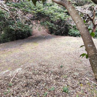 山頂まで、林道が通っています。