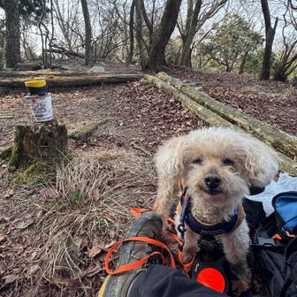 朝ごはんいただきました🙏