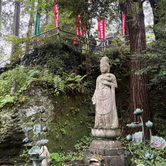 第二番札所　真福寺　階段を登って本殿へ