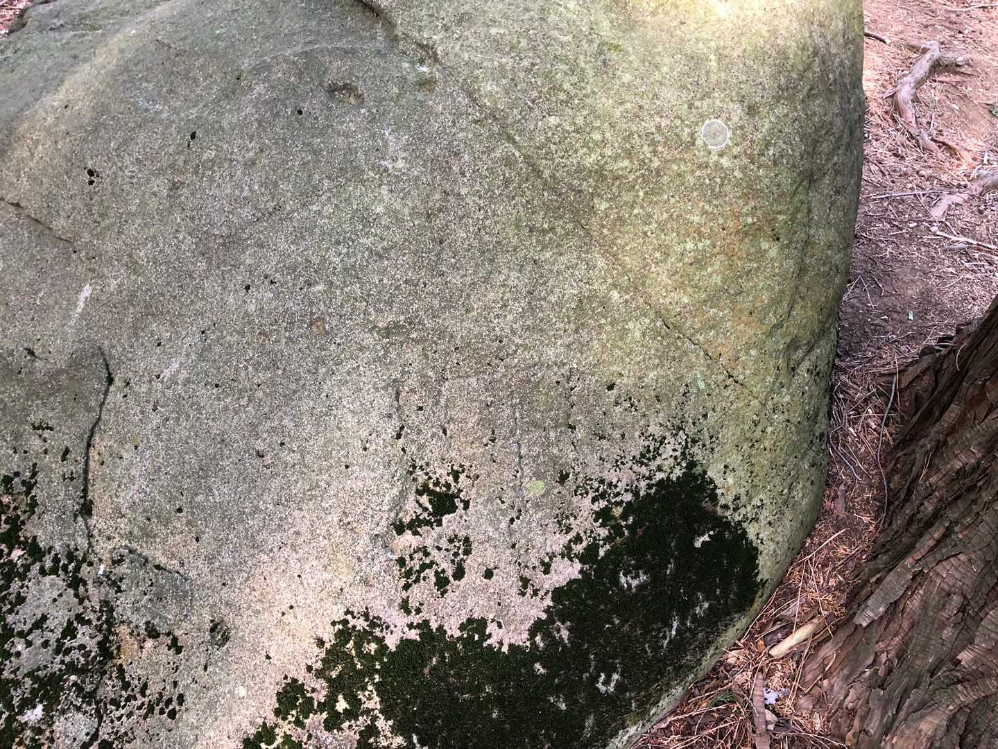 うっすらと「中」見えるかな？