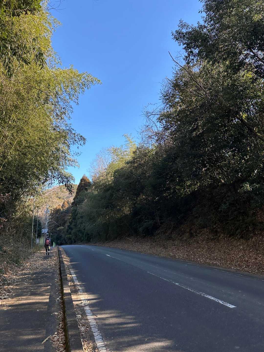 大谷山展望台入り口-大谷山 往復コースの写真