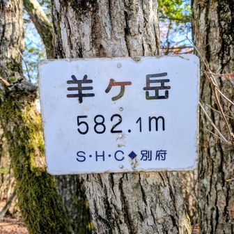 こういう漢字も正解🙆🏻‍♂️