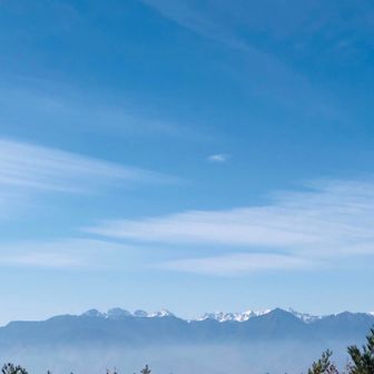 さくらいうめこ