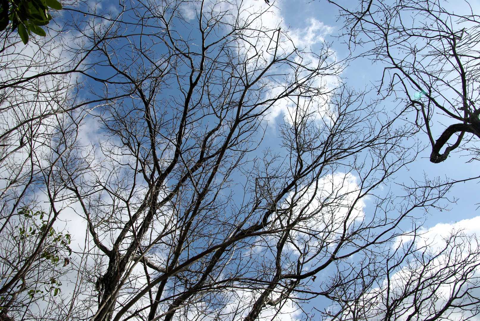 雲も多いですが、気持ちのいい青空☀️☁️