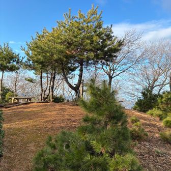 休憩したので下山します
陽が射してきた