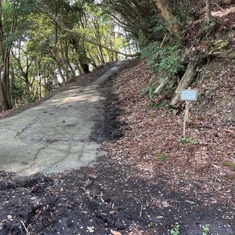 房州アルプス登山口。
車が一台。
ここまで車で来られればかなり楽ちん。