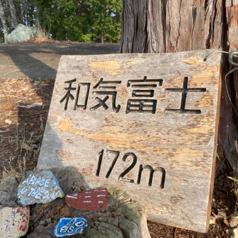 登山口から15分程度で頂上です、